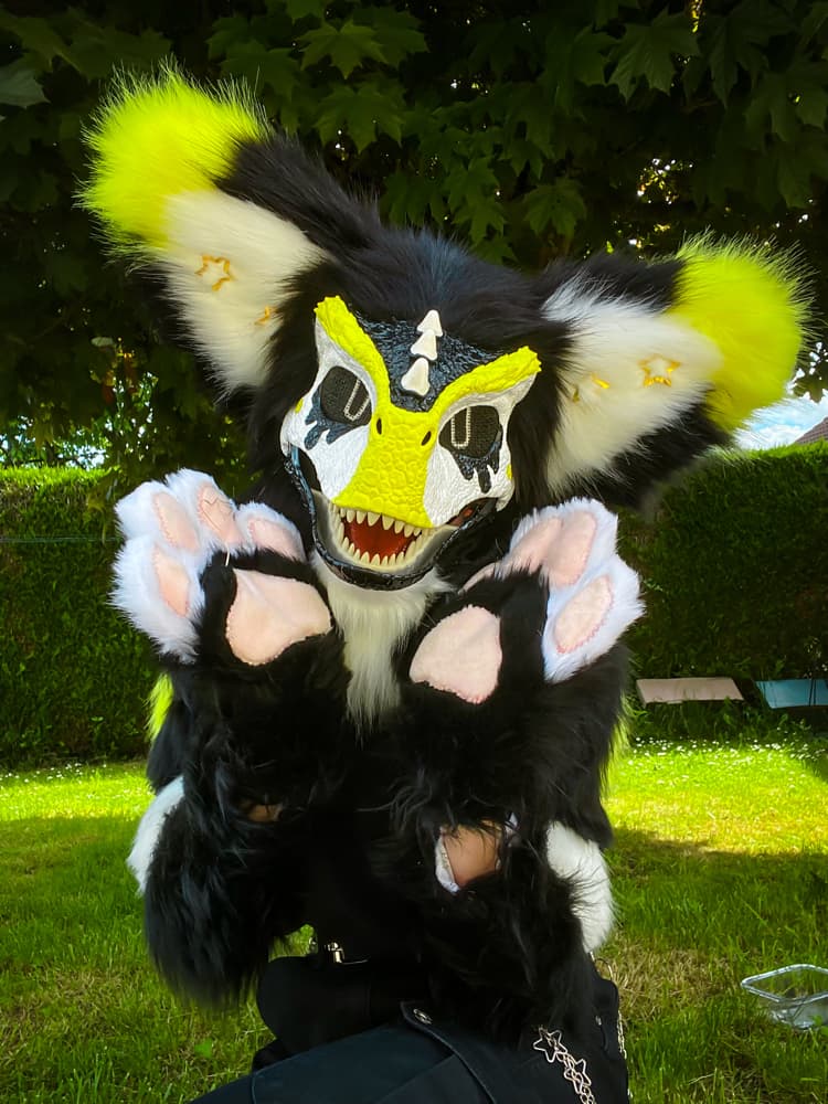 Photos Félix - Photo 5