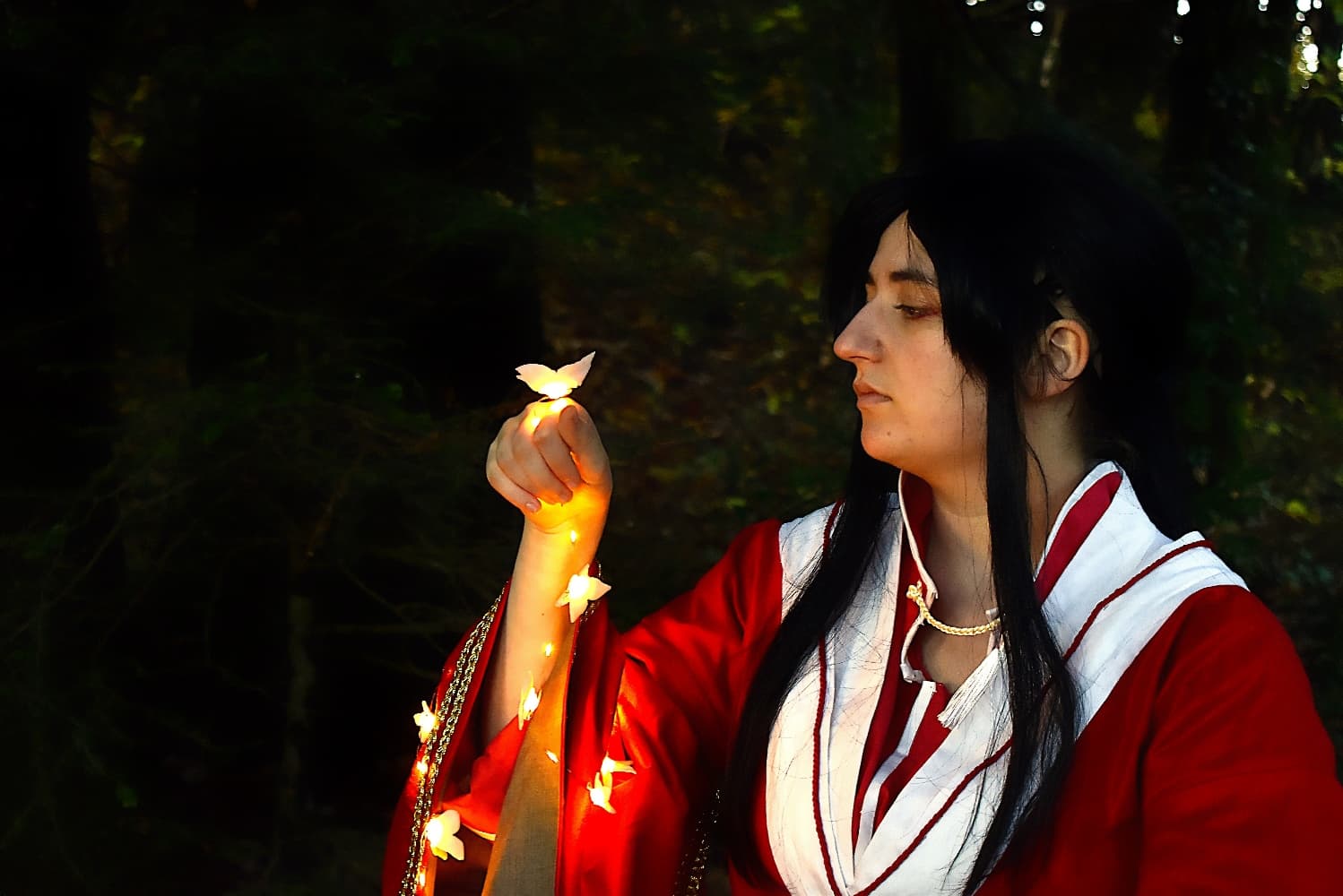 San Lang Forest 2023 - Photo 5