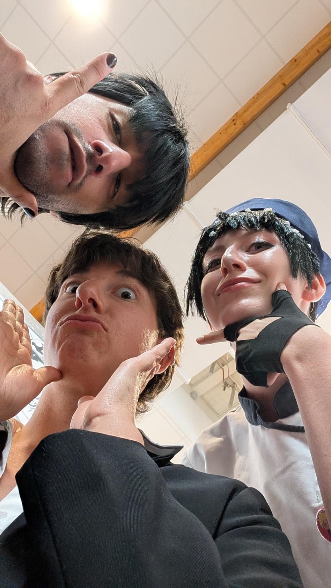 Gevaudan pop culture - Photo 2