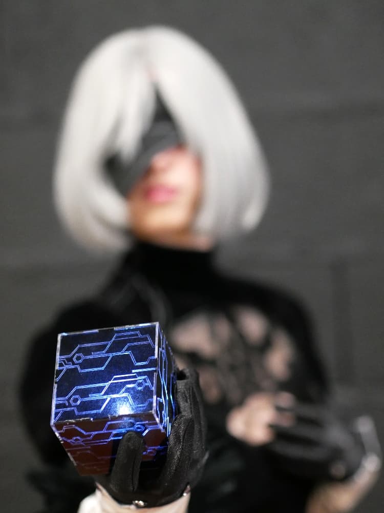 2B - Photo 4