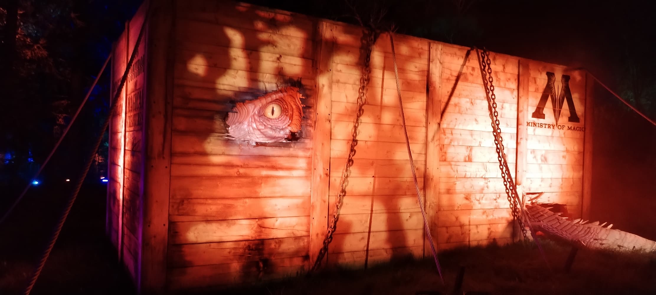 La forêt interdite - Photo 37