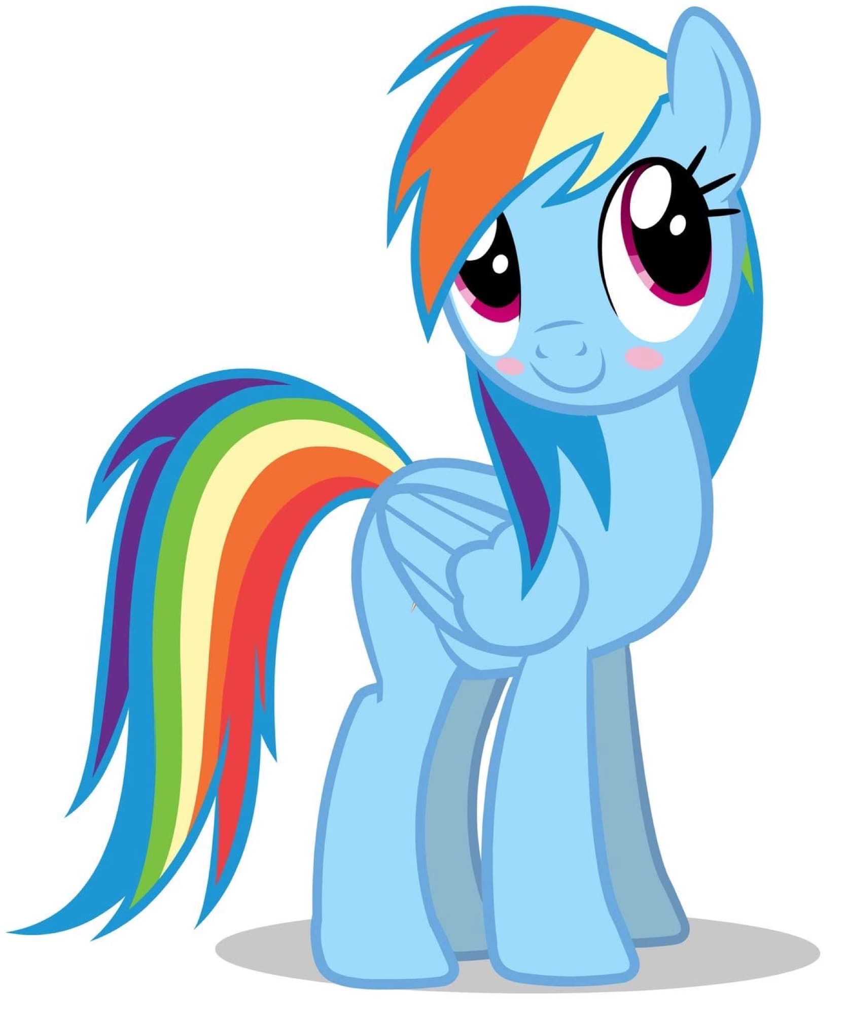 Rainbow Dash - Photo 5