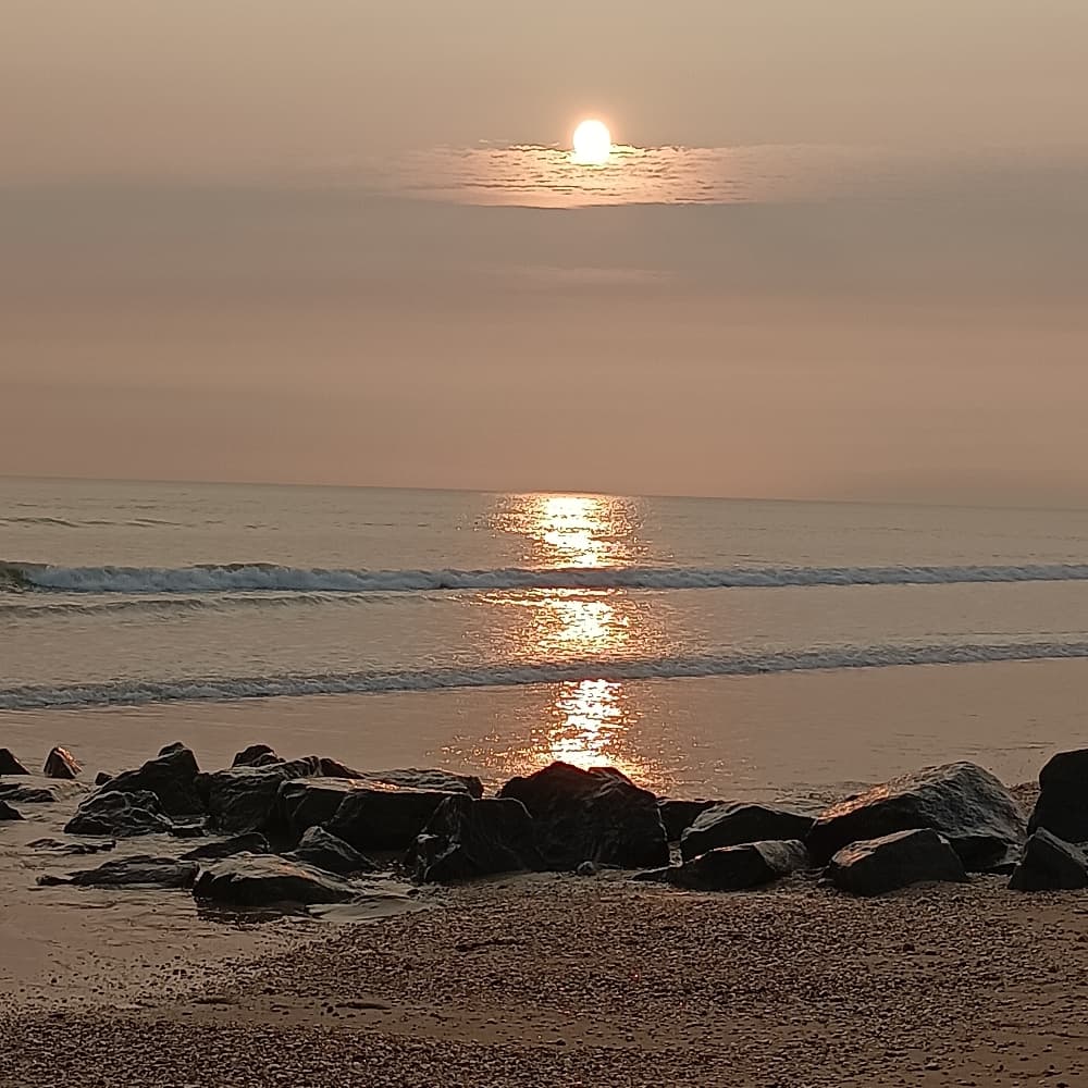 Ellie TLOU2 beach - The Last of Us cosplay photoshoot cover