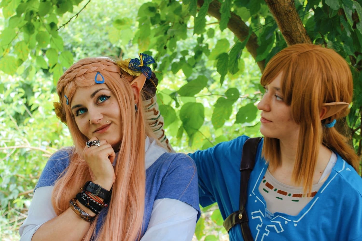 Link (Botw) - Photo 14