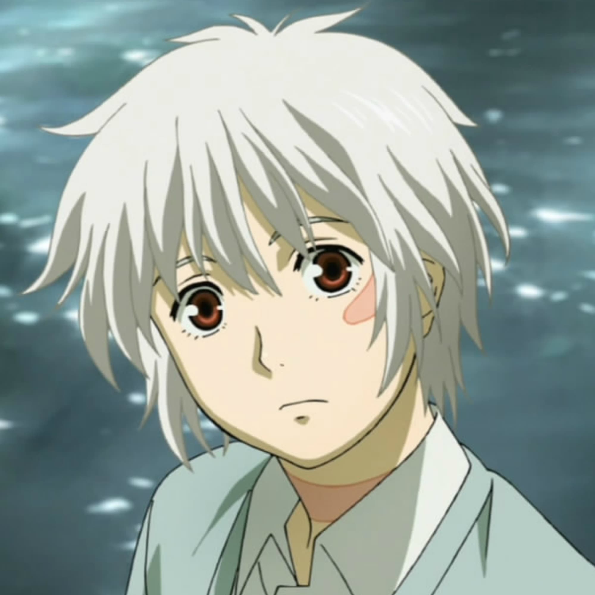 ❤️‍🩹 Shion ❤️‍🩹