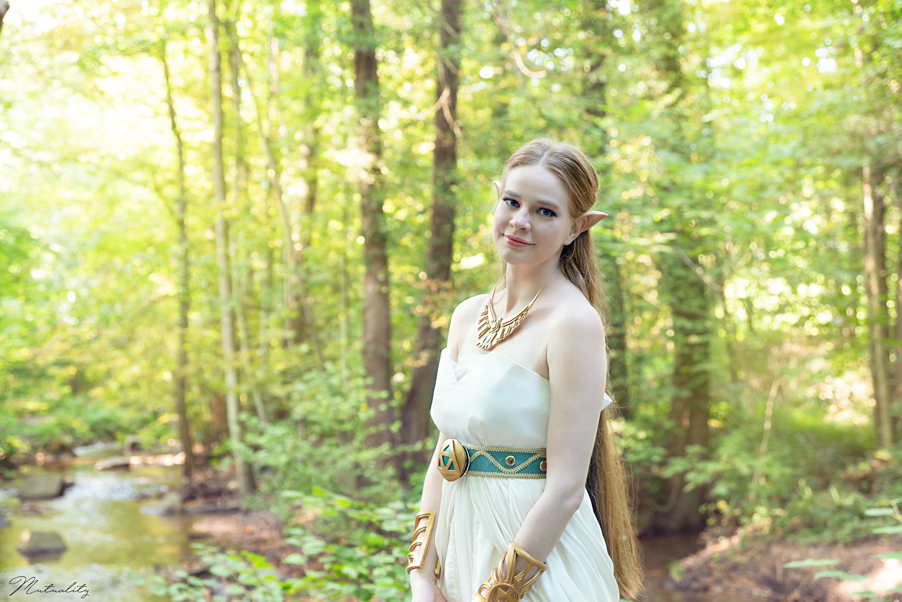 Zelda BOTW 1 - Photo 12