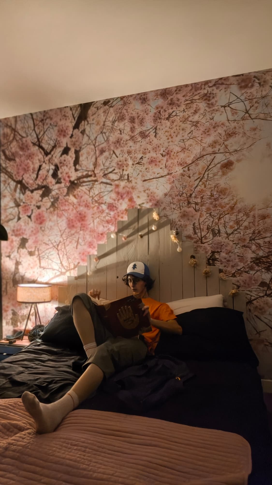 Dipper Pines x Jojo - Photo 22