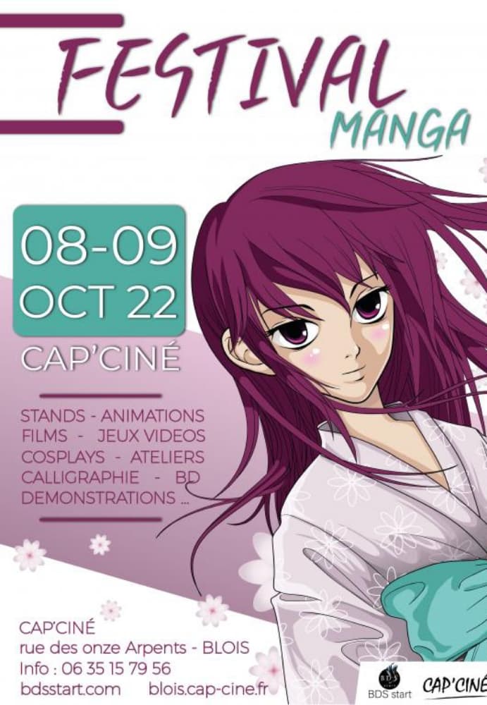 Festival manga