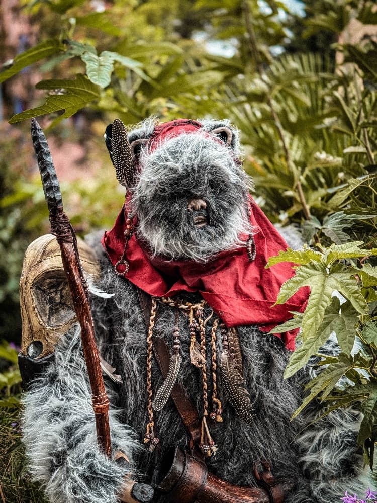 Un Ewok À Vitrolles - Photo 1