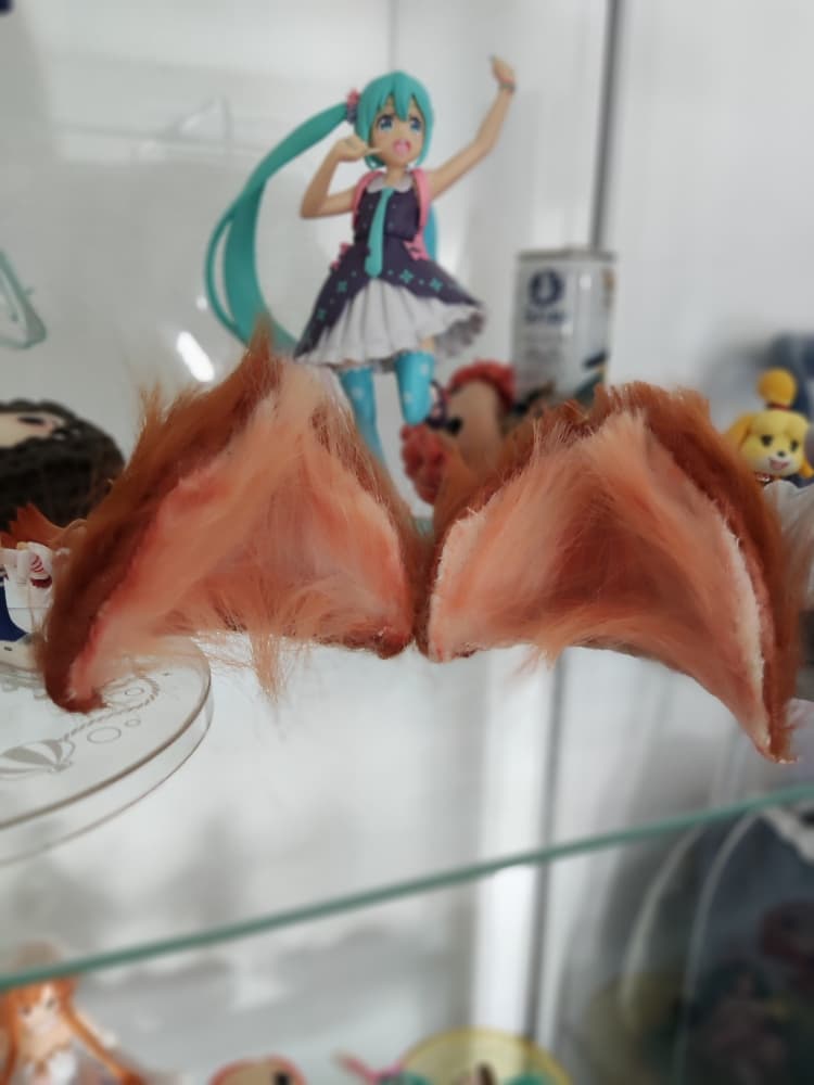 Amure Raphtalia  - Photo 24