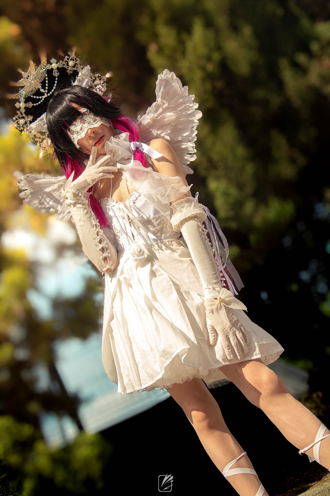 Columbina  - Photo 5