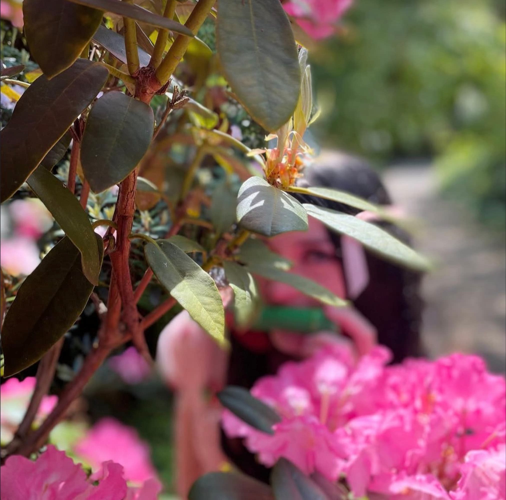 Nezuko robe fraise - Photo 10