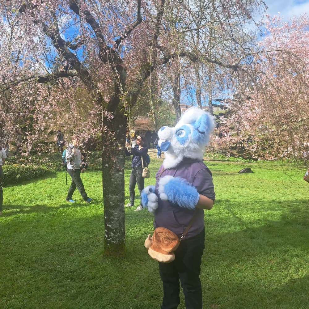 Titan (V2) - Photo 8