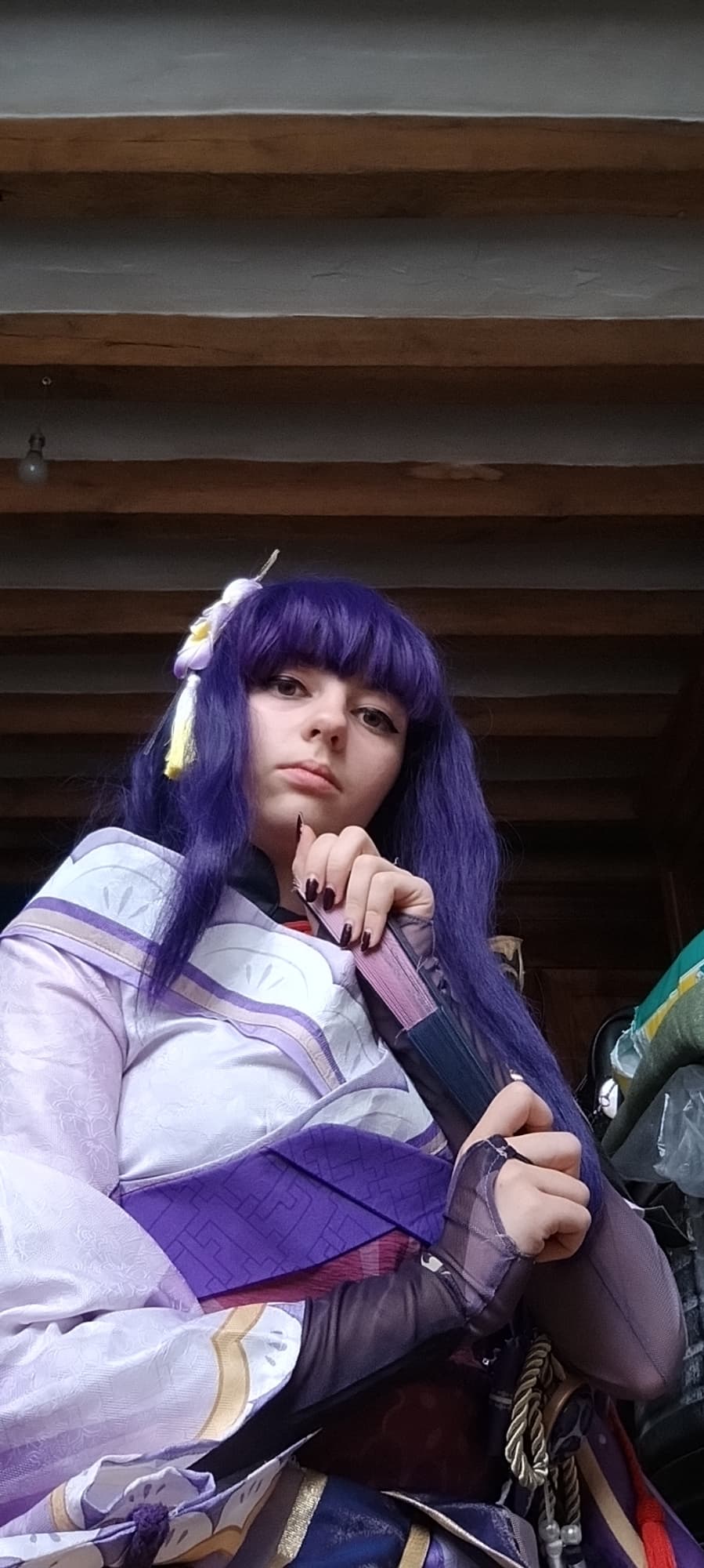 Raiden shogun  - Photo 10