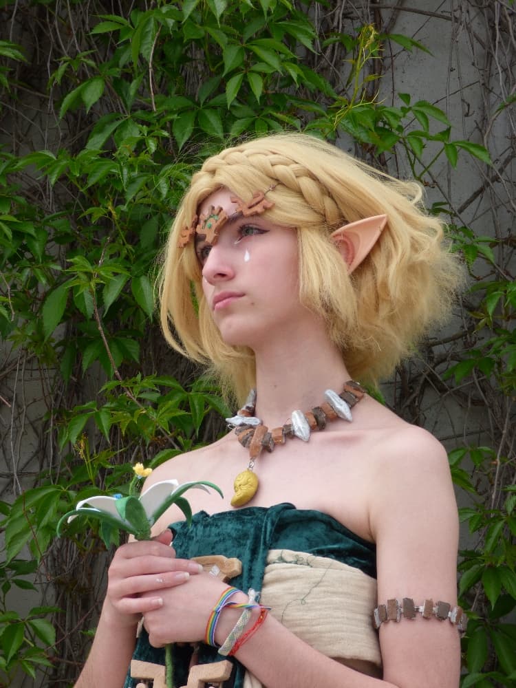 Zelda - Photo 8