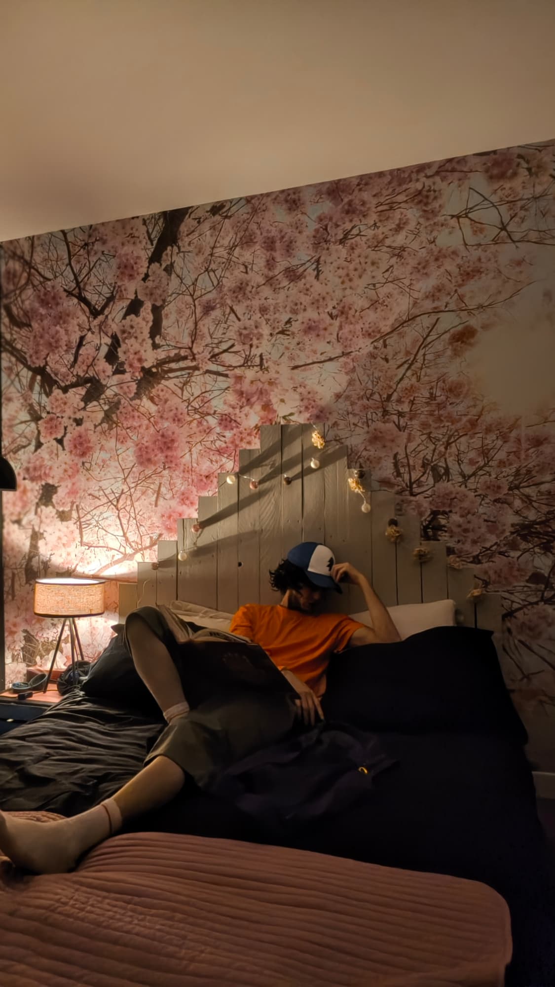 Dipper Pines x Jojo - Photo 3