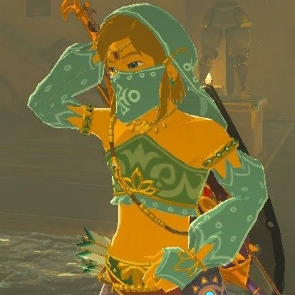 Link gerudo version 