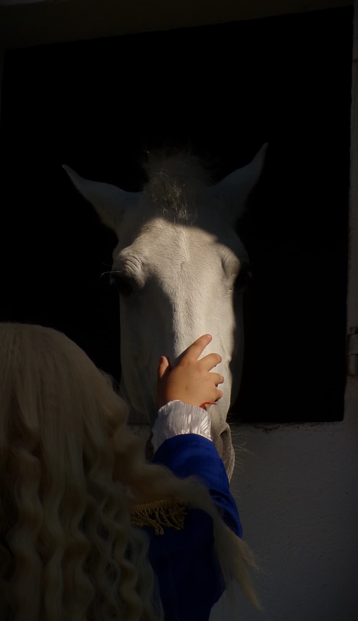 Lady oscar - Photo 8