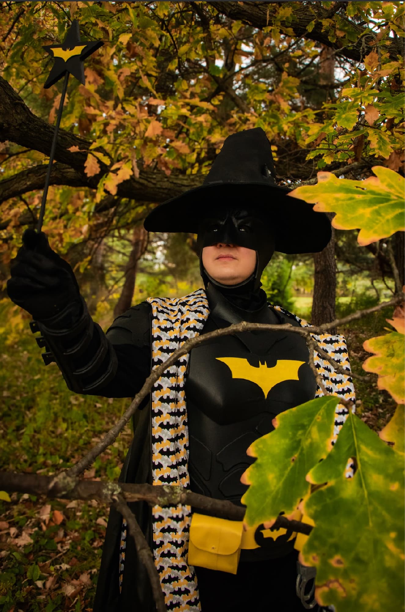 Batman Wizard - Photo 9