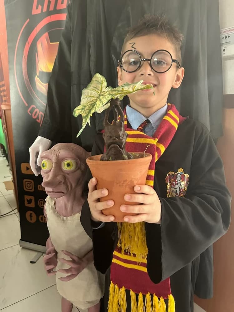 Harry potter  - Photo 10