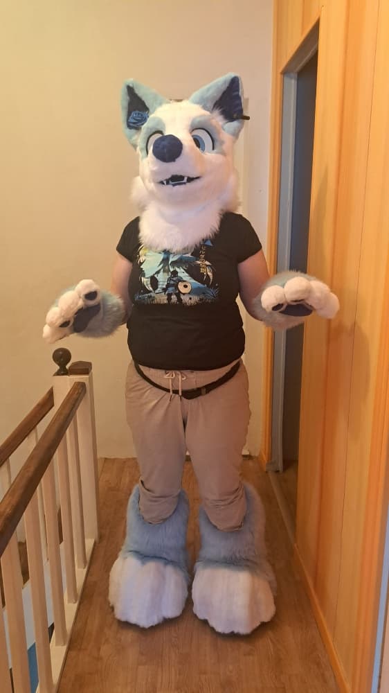 Titan refurb - Photo 7