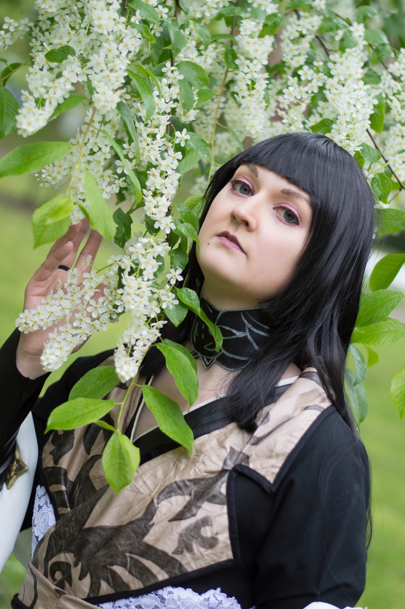 Gentiana (FF 15) - Photo 12