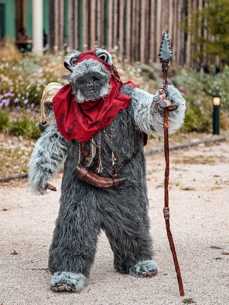 Un Ewok À Vitrolles - Photo 7