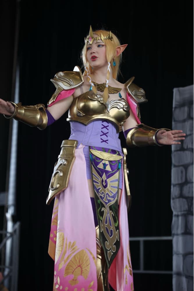 ⭐️ Zelda ⭐️ - Photo 3