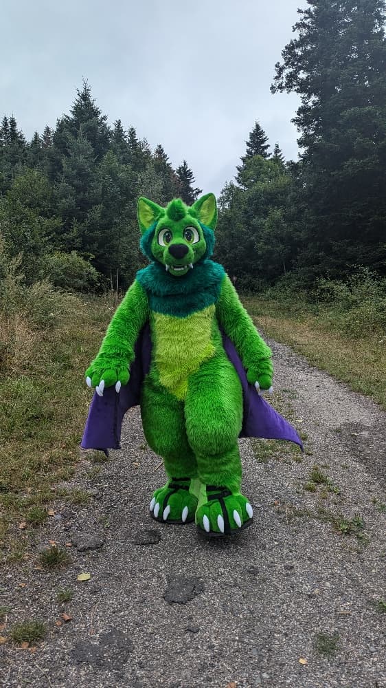 
A dark forest - Photo 1