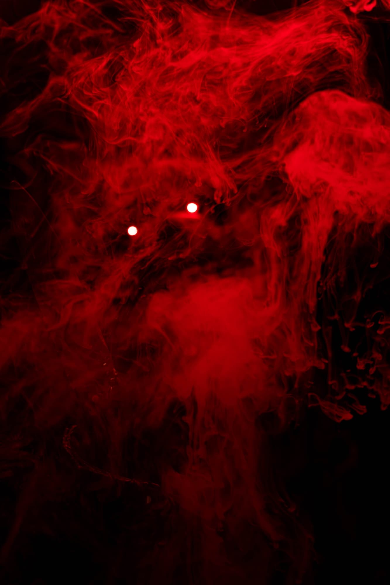 Shoot special - Photo 6