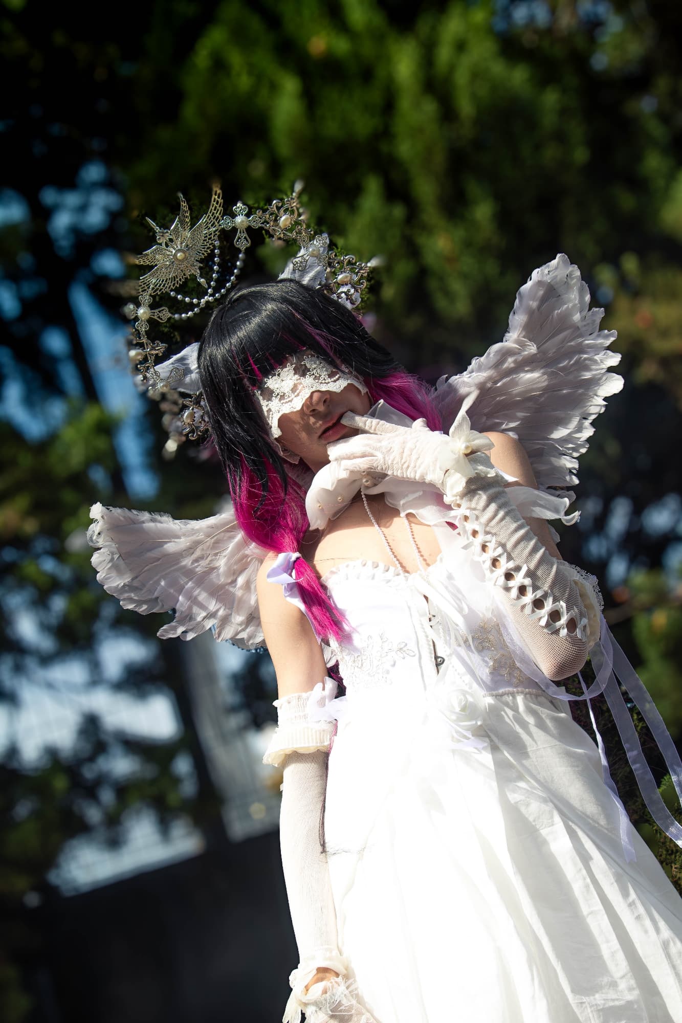 Columbina  - Photo 4