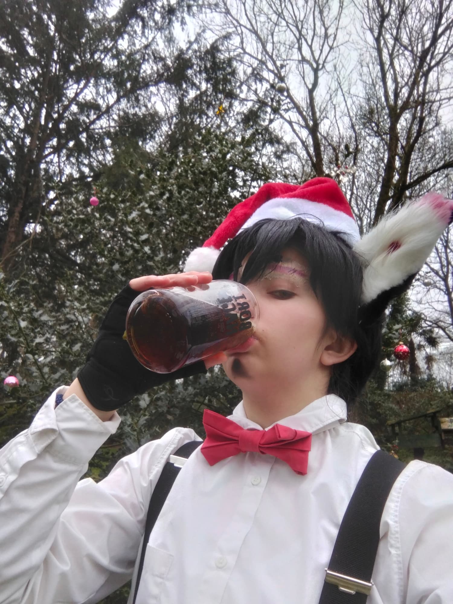 Husker de Noël  - Photo 6