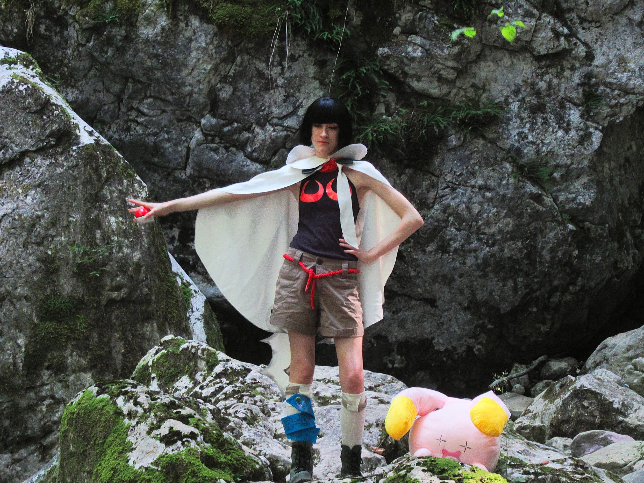 Amaryllis P1  - Photo 2