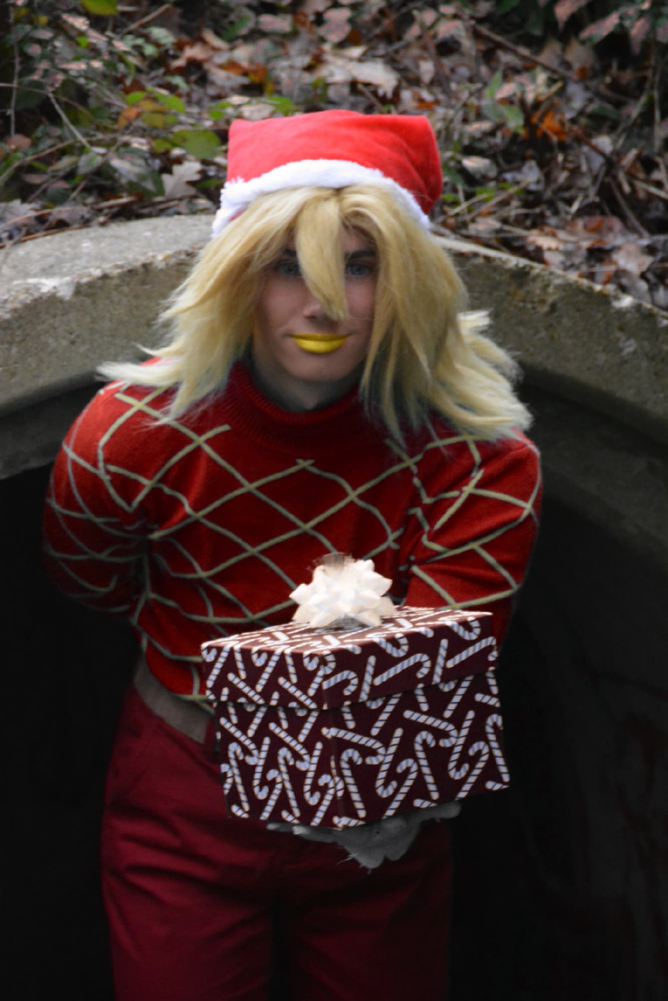 Diego Brando Noël - Photo 2