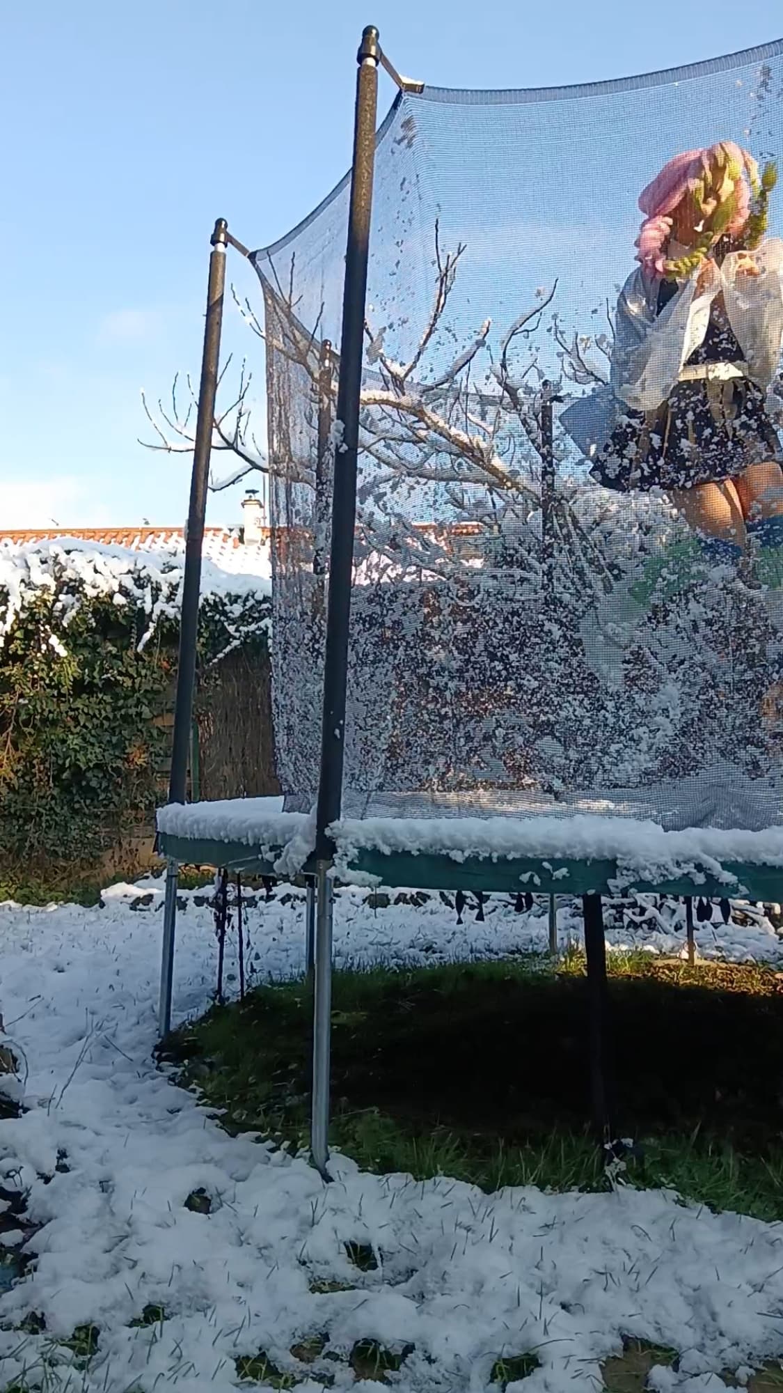 Mitsuri Kanroji - Photo 52