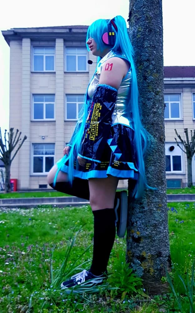 Hatsune miku  - Photo 8