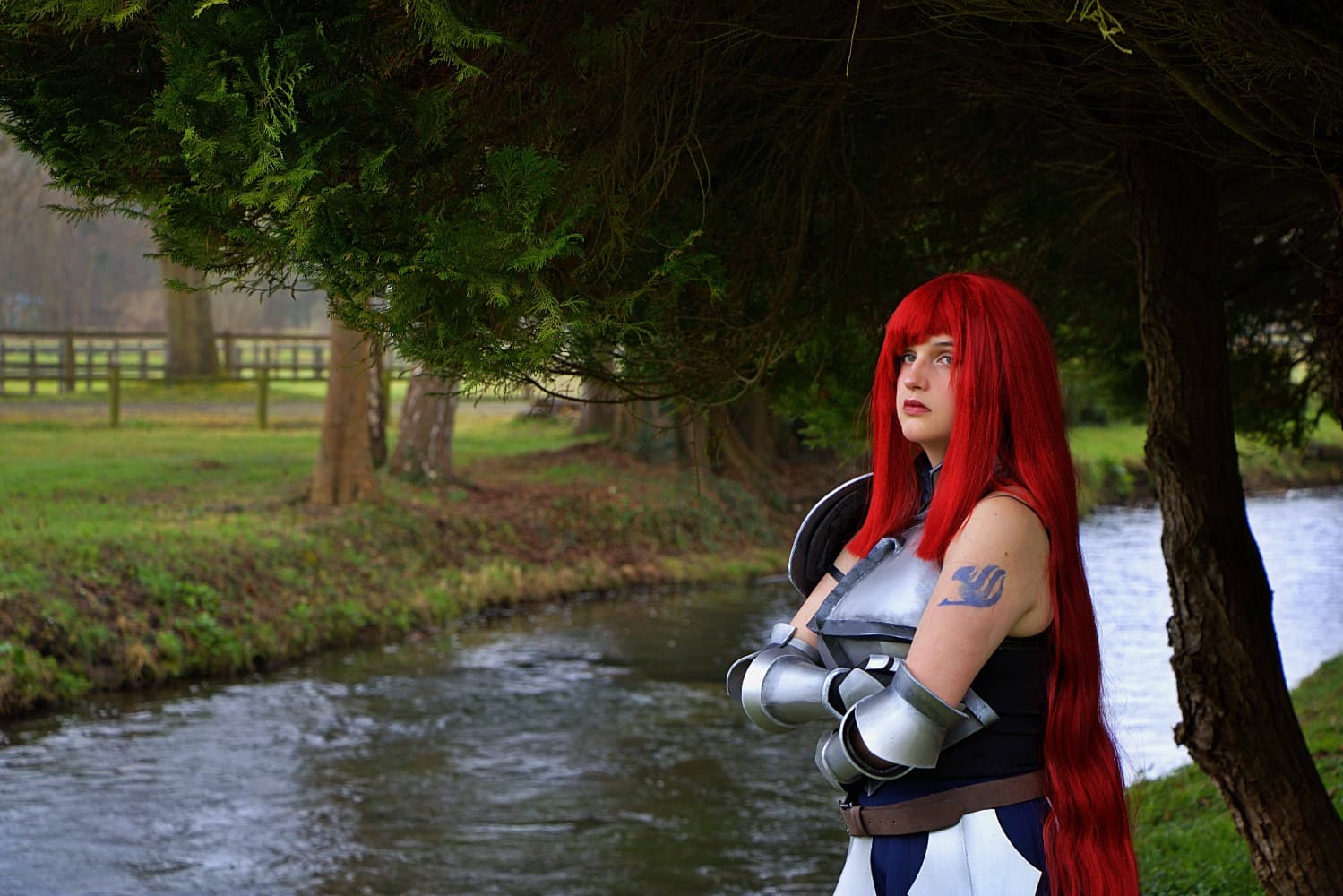 Erza Scarlet  - Photo 1