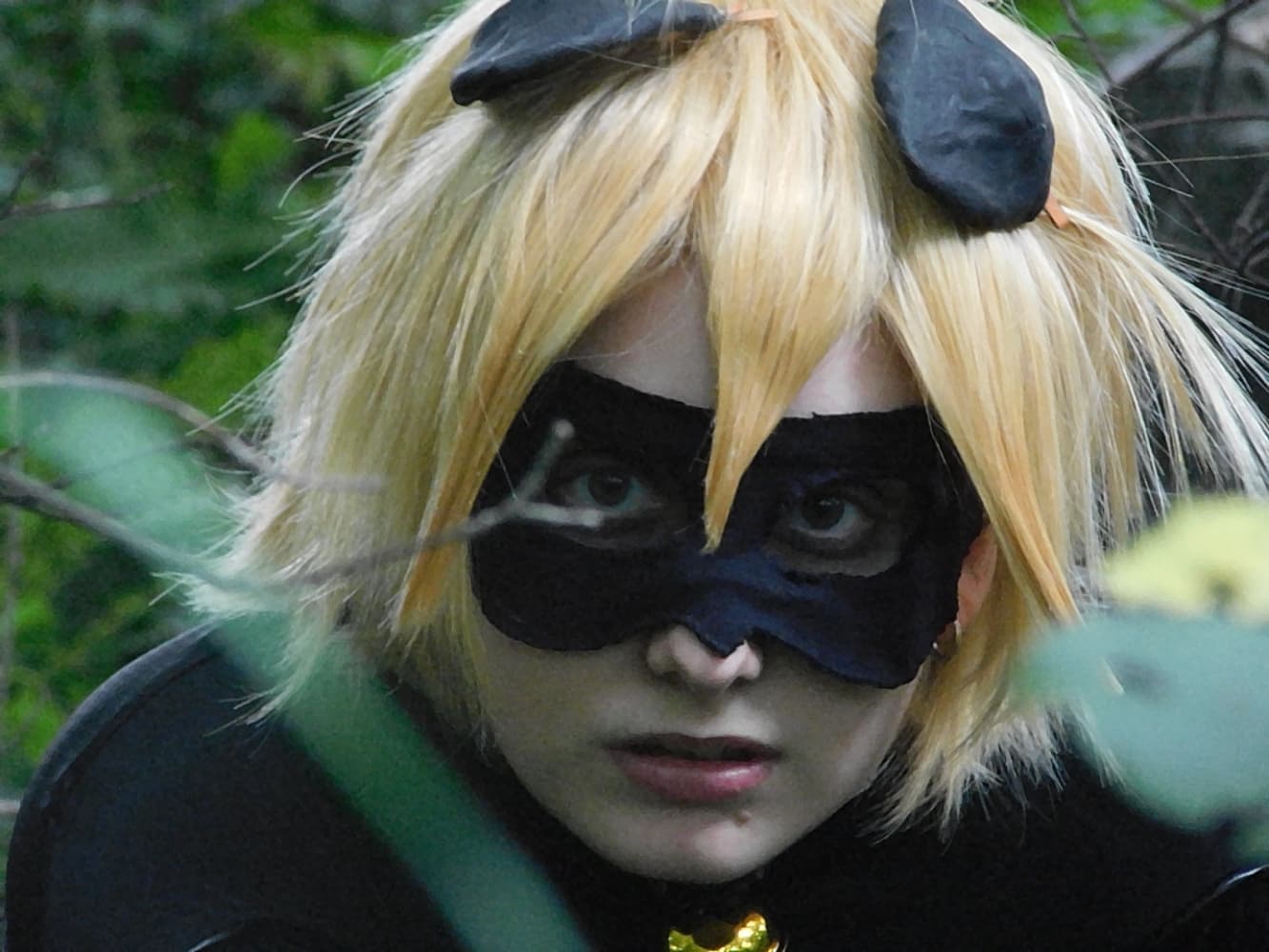 Chat Noir - Photo 24