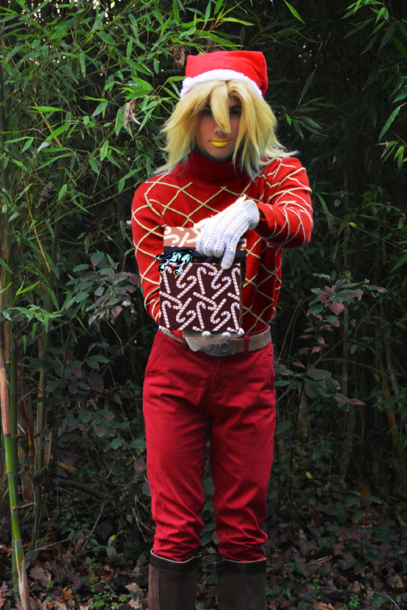 Diego Brando Noël - Photo 6
