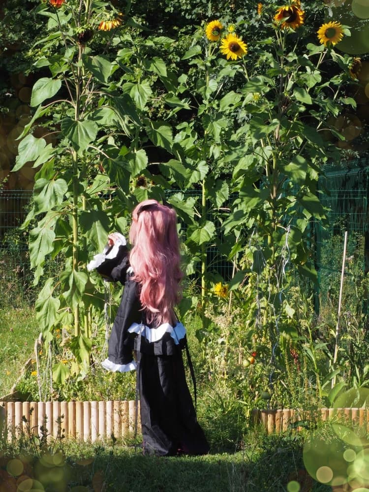 Krul Tepes  - Photo 1