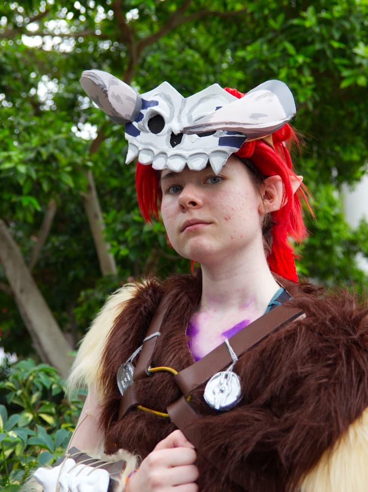 Barbarian link - Photo 9