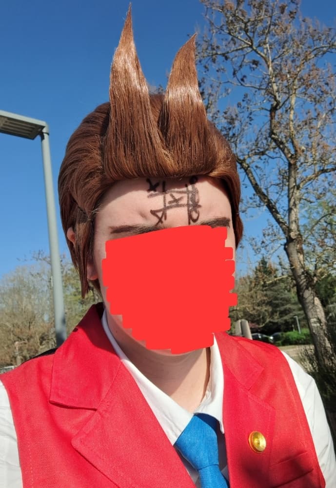 Apollo Justice - Photo 4