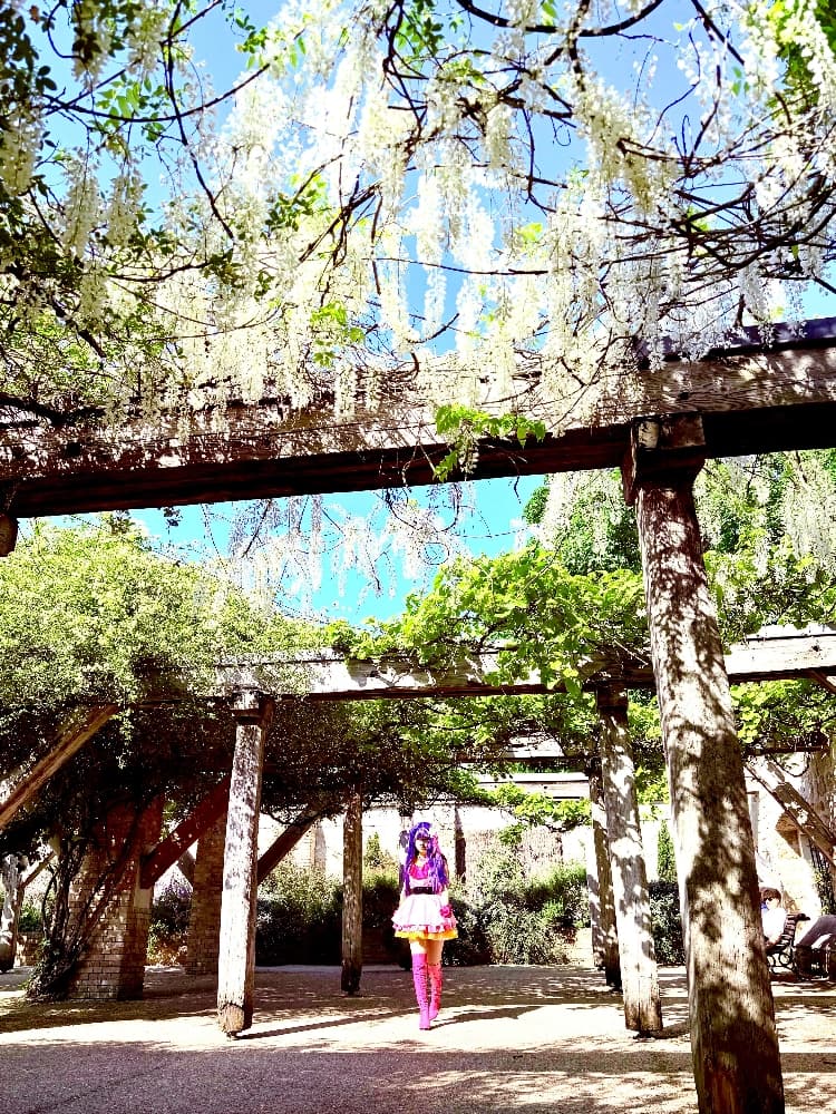 Ai Hoshino - Photo 14