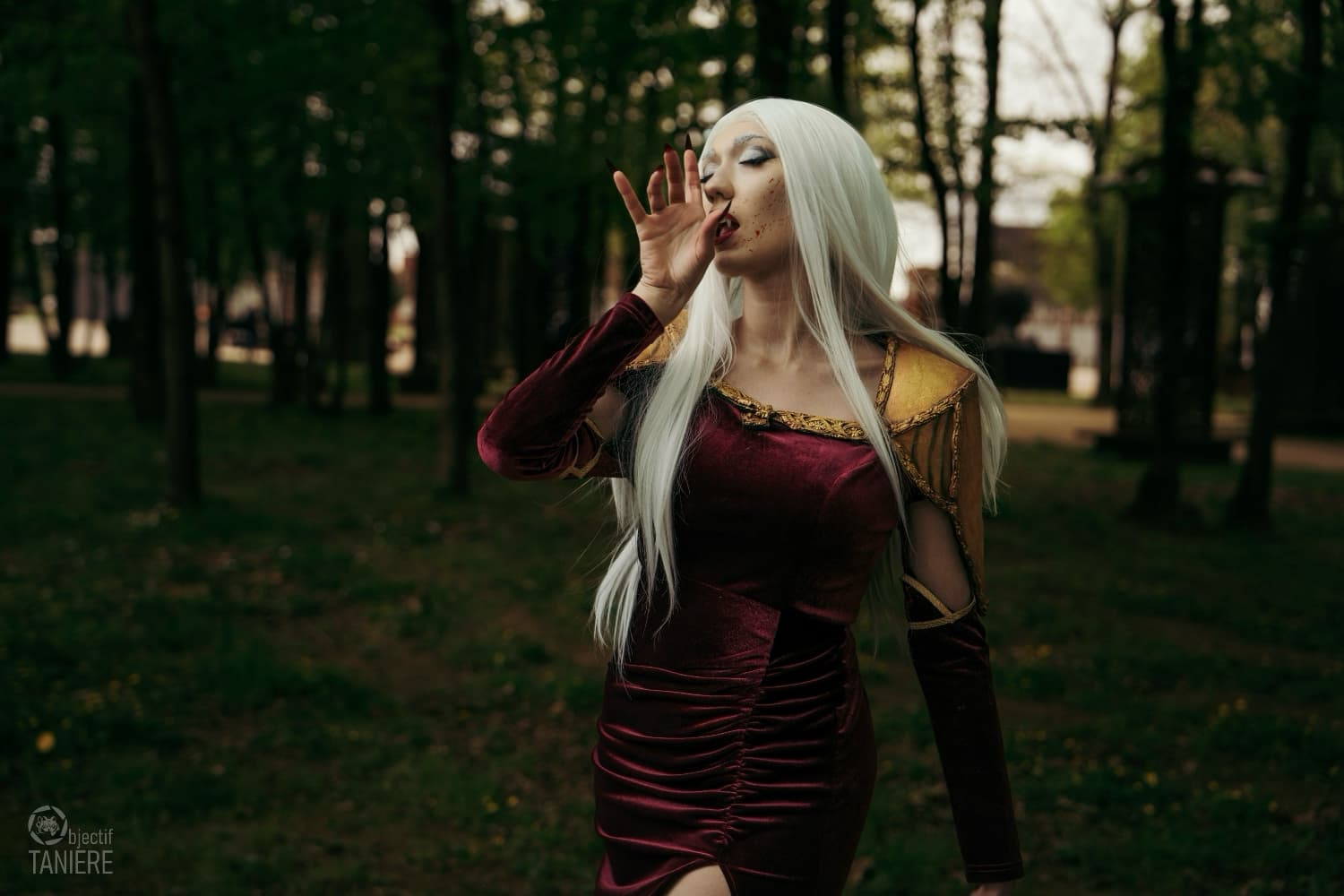 Objectif Tanière  - Photo 1