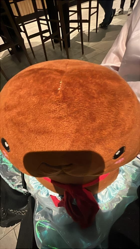 Chaotique Kaito - Photo 4