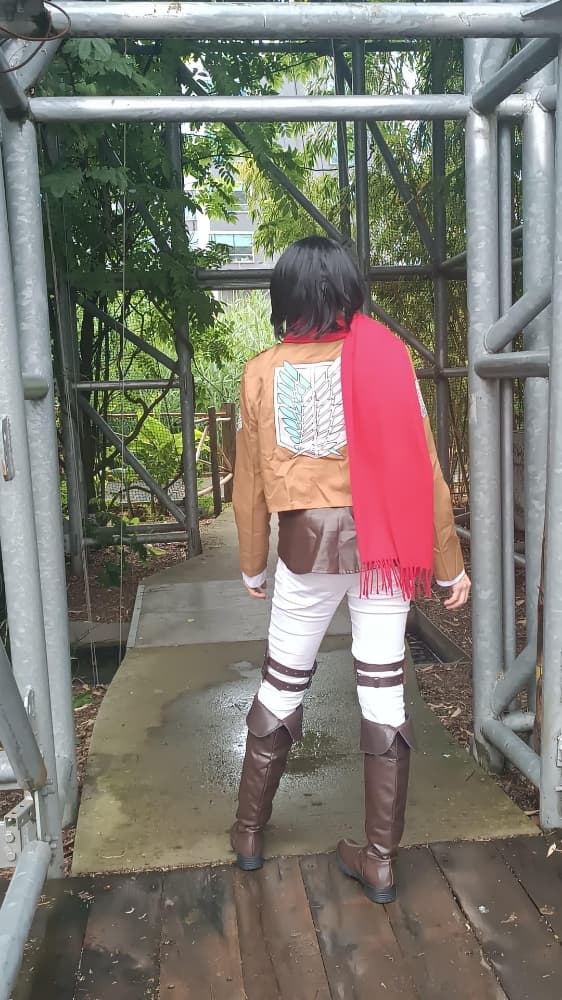 Mikasa Ackerman - Photo 1