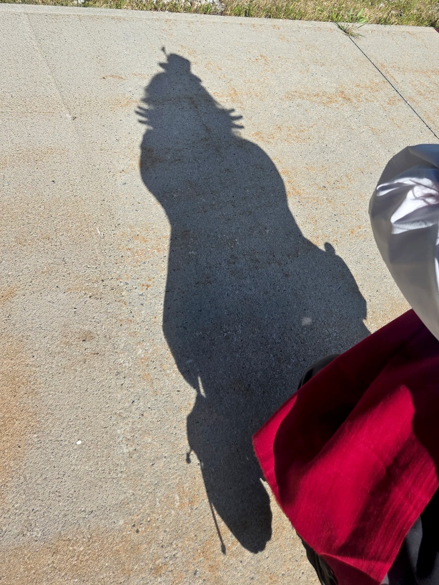 Weeping Clown - Photo 2