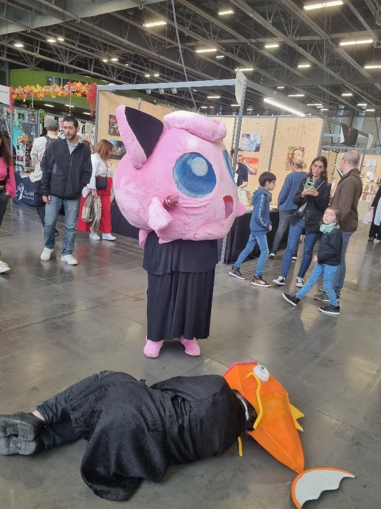 Rondoudou vs lord - Photo 4