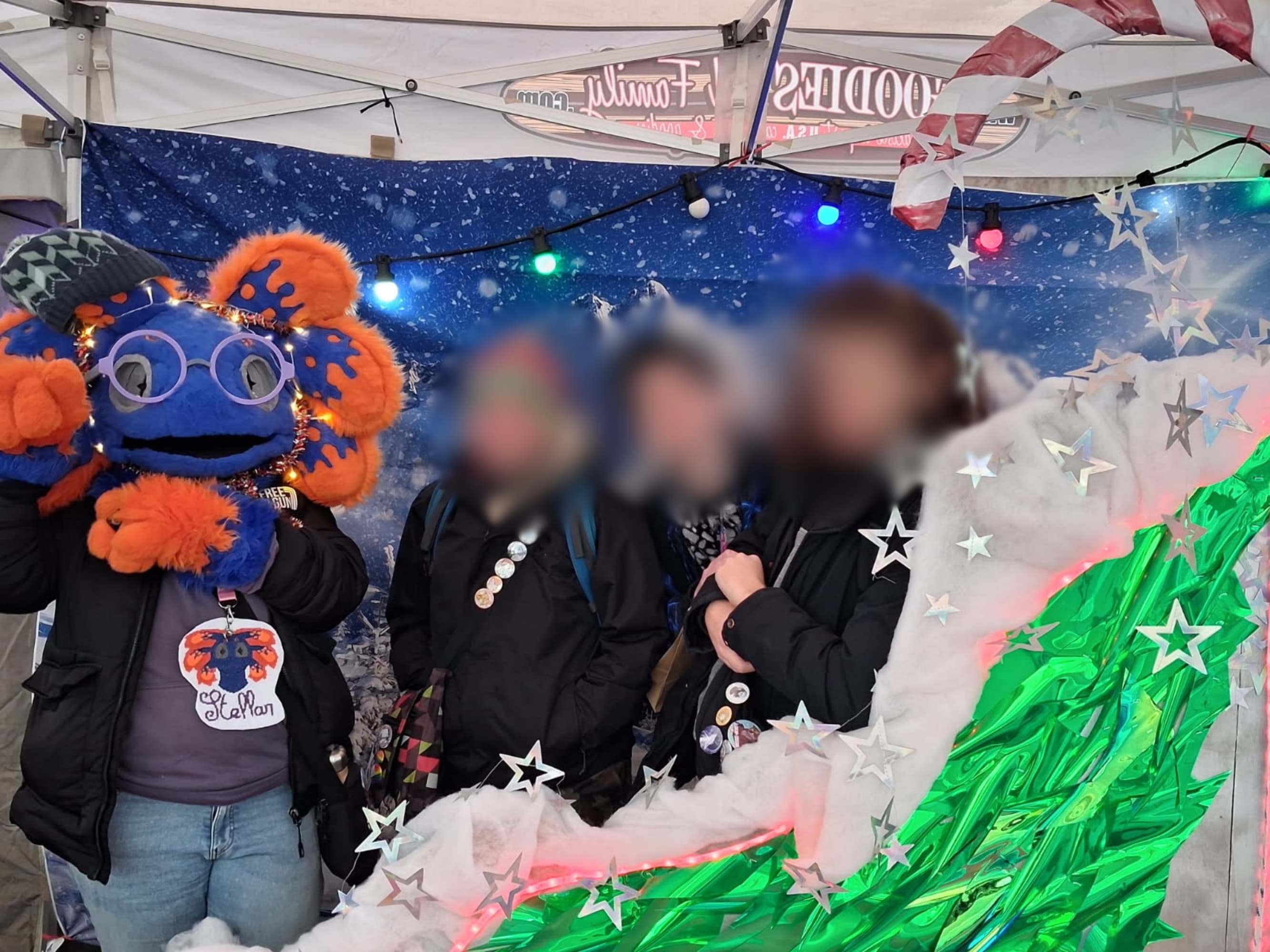 Marche de noel - Photo 1