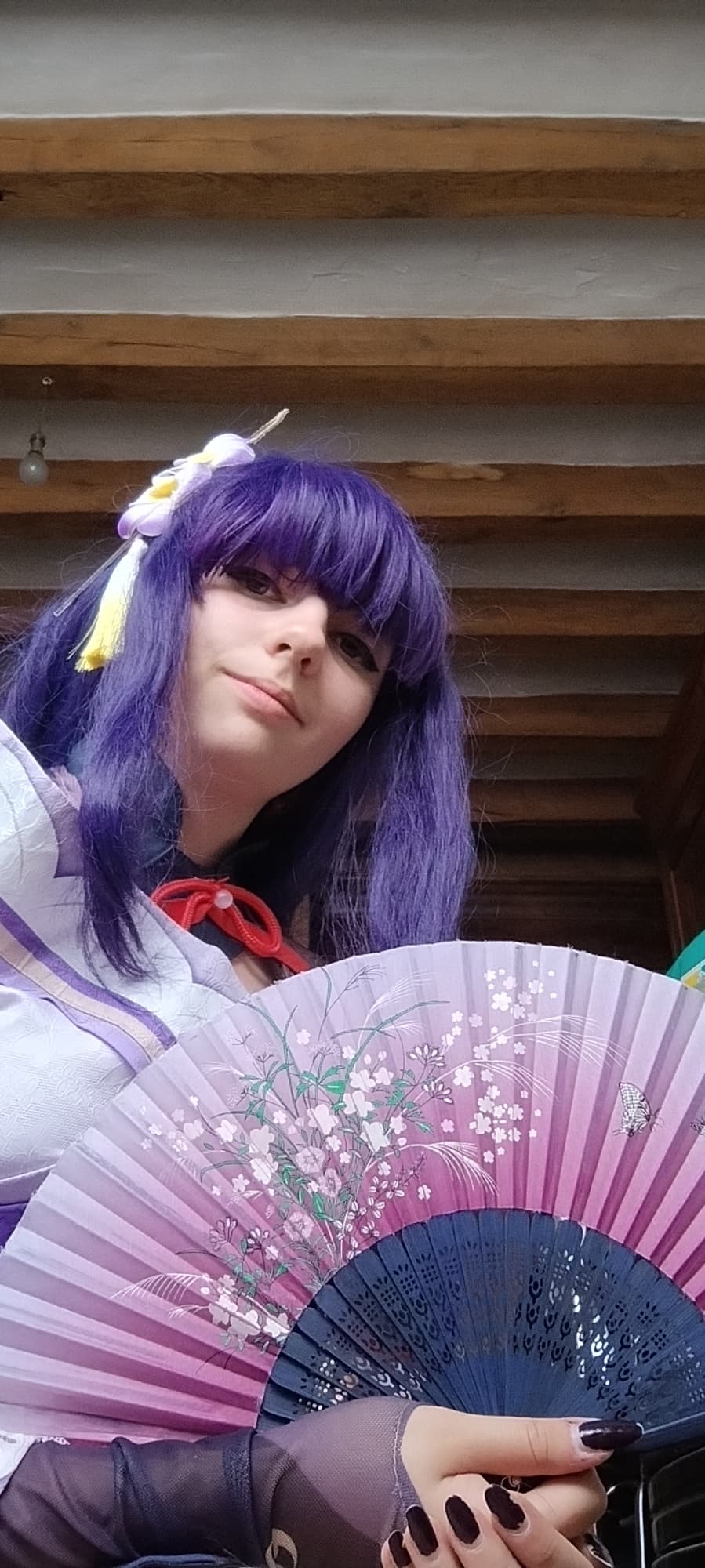 Raiden shogun  - Photo 7